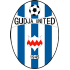 Home team logo